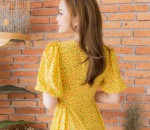 Đầm Hoa Cát