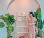 Đầm Nơ Cổ Chít Eo