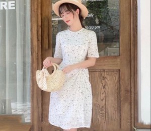 Midi hoa cuốn xanh rút thân xoè