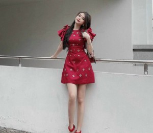 Willi dress Đầm đính đá sang chảnh.