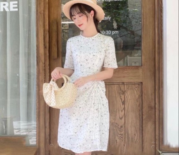Midi hoa cuốn xanh rút thân xoè 